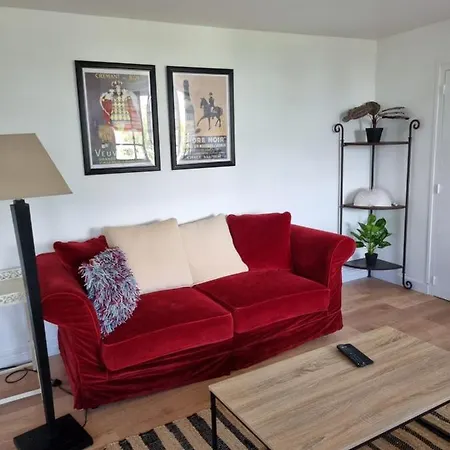 Location Saisonniere Appartement Situe A Saumur Exterior foto